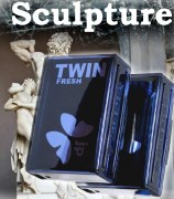 TWIN FRESH Sculpture (200гр)